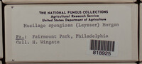 Image Associated With the Occurence